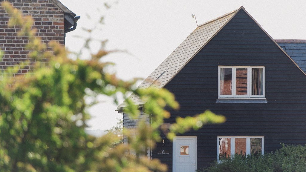 Harrier's Nest Cover Image